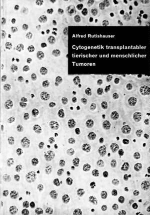 Cells of a Ehrlich-Ascites-Carcinom